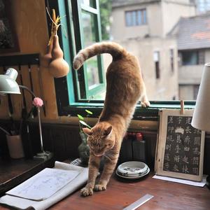 暴躁妹妹免费观看40集电视剧
