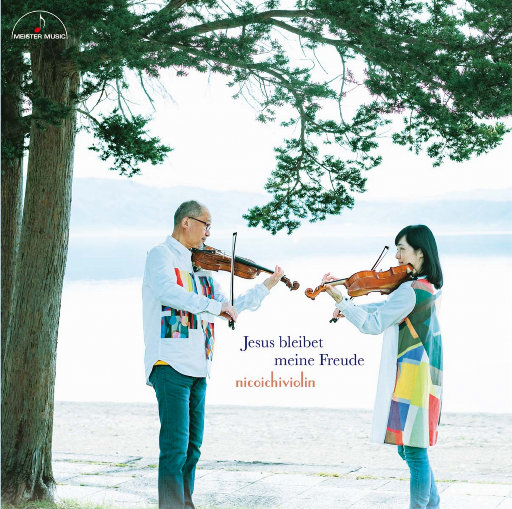 暴躁妹妹免费观看40集电视剧
